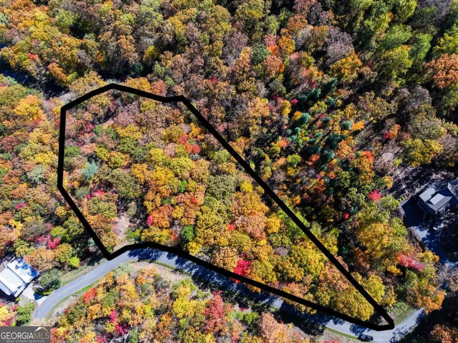 LOT 46 Utana Bluffs Trail, Ellijay, GA 30540 - #3