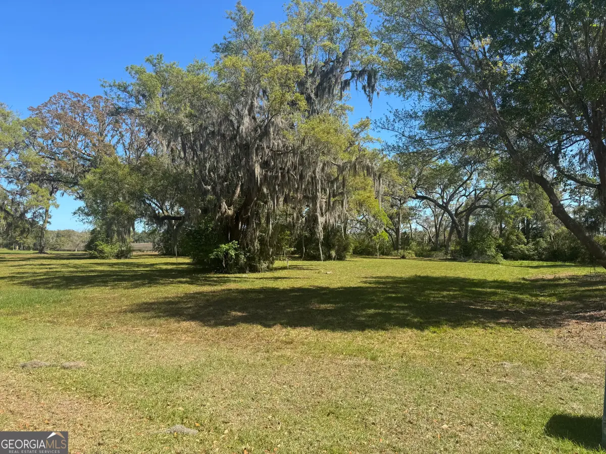 LOT 38 Coopers Point Drive Ne, Townsend, GA 31331 - #1