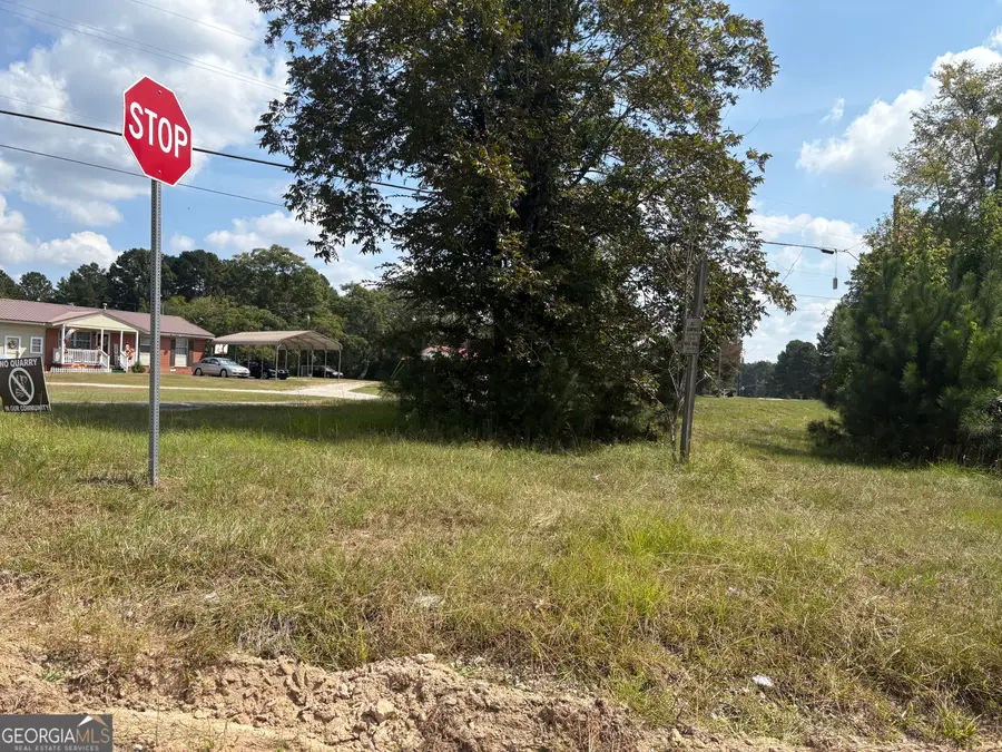 LOTS 11 & 12 Shoals Road, Sparta, GA 31087 - #2