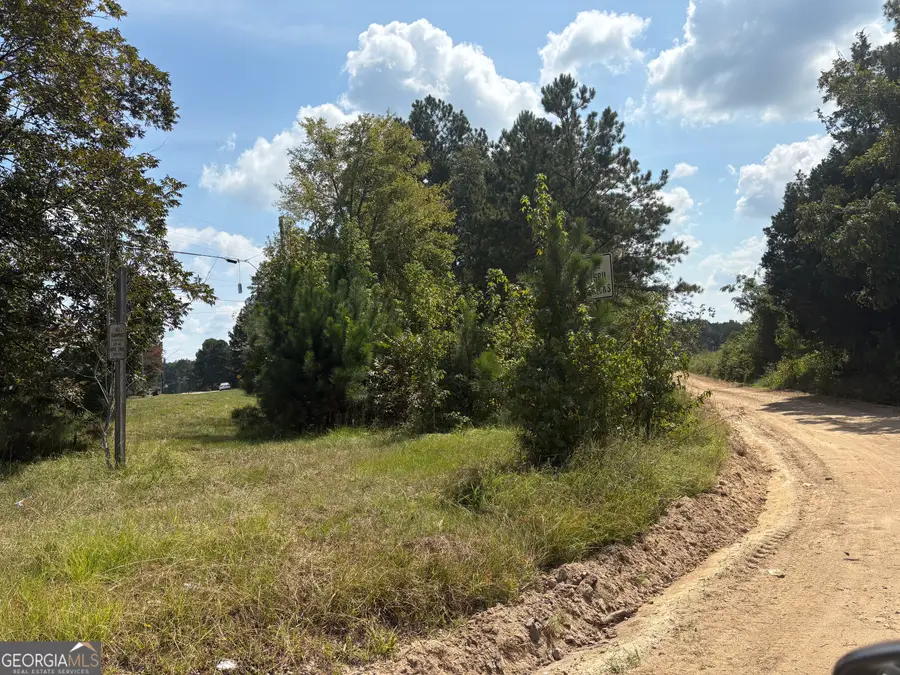 LOTS 11 & 12 Shoals Road, Sparta, GA 31087 - #3