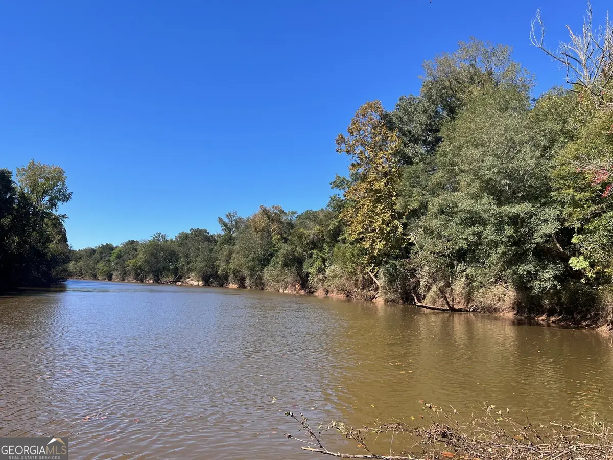 0 Charles Reeves Road, Roberta, GA 31078 - #1