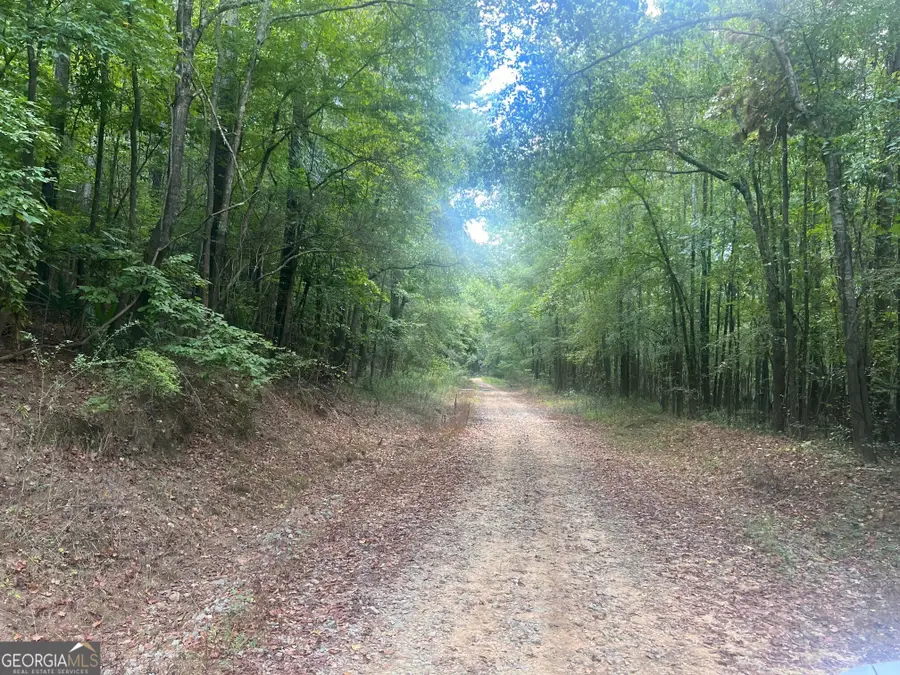 0 Charles Reeves Road, Roberta, GA 31078 - #2