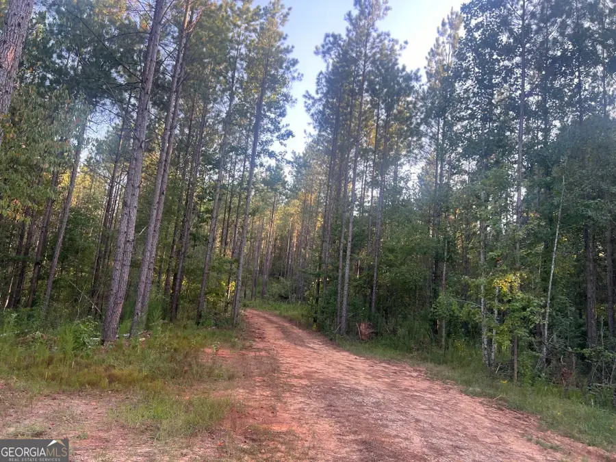 0 Charles Reeves Road, Roberta, GA 31078 - #3