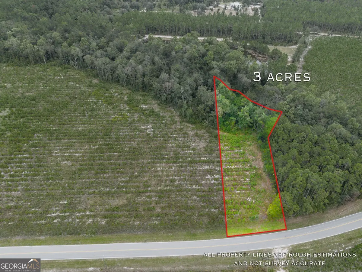TRACT 1 River Road, Folkston, GA 31537 - #1