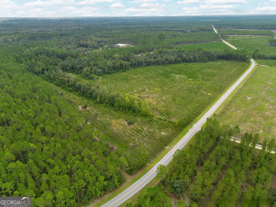 TRACT 1 River Road, Folkston, GA 31537 - #3
