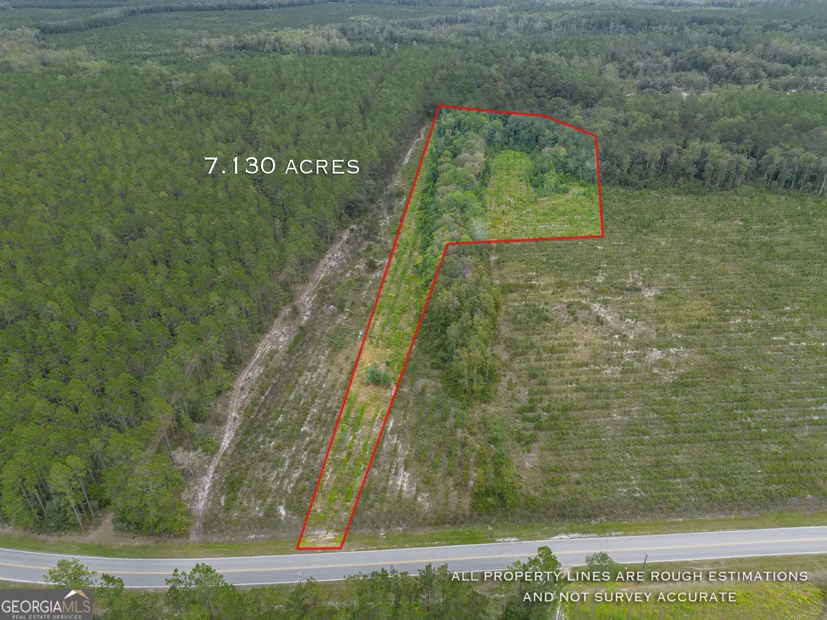 TRACT 7 River Road, Folkston, GA 31537 - #1