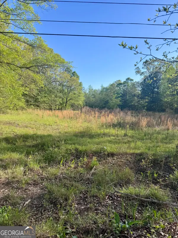 0 Susie Pope Road, Buchanan, GA 30113