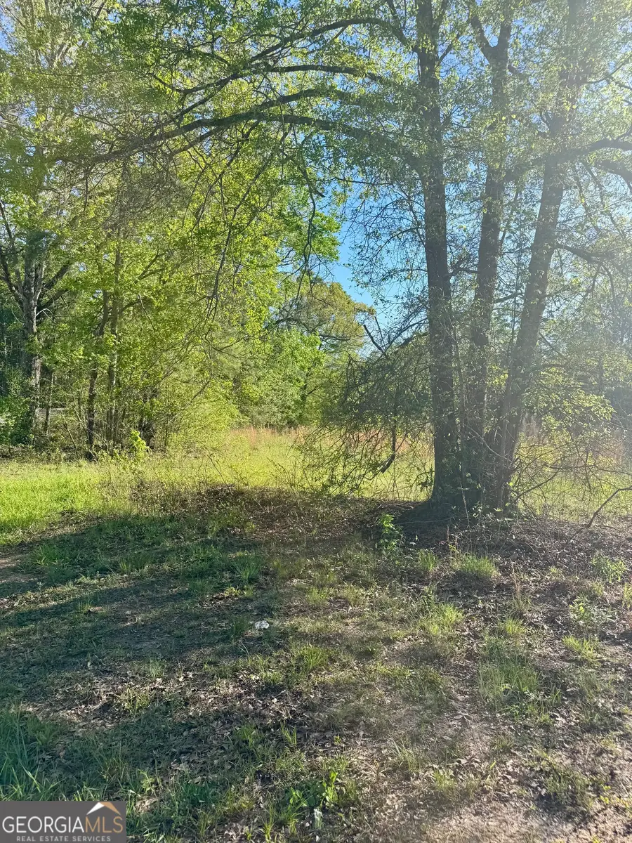 0 Susie Pope Road, Buchanan, GA 30113 - #2