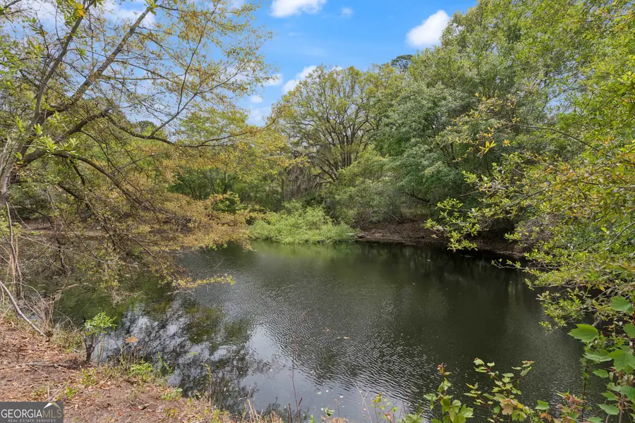 1636 Ashantilly Drive, Darien, GA 31305 - #3