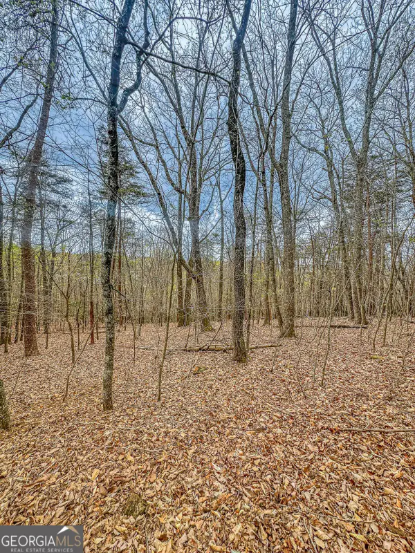 0 Green Meadows, Dahlonega, GA 30533