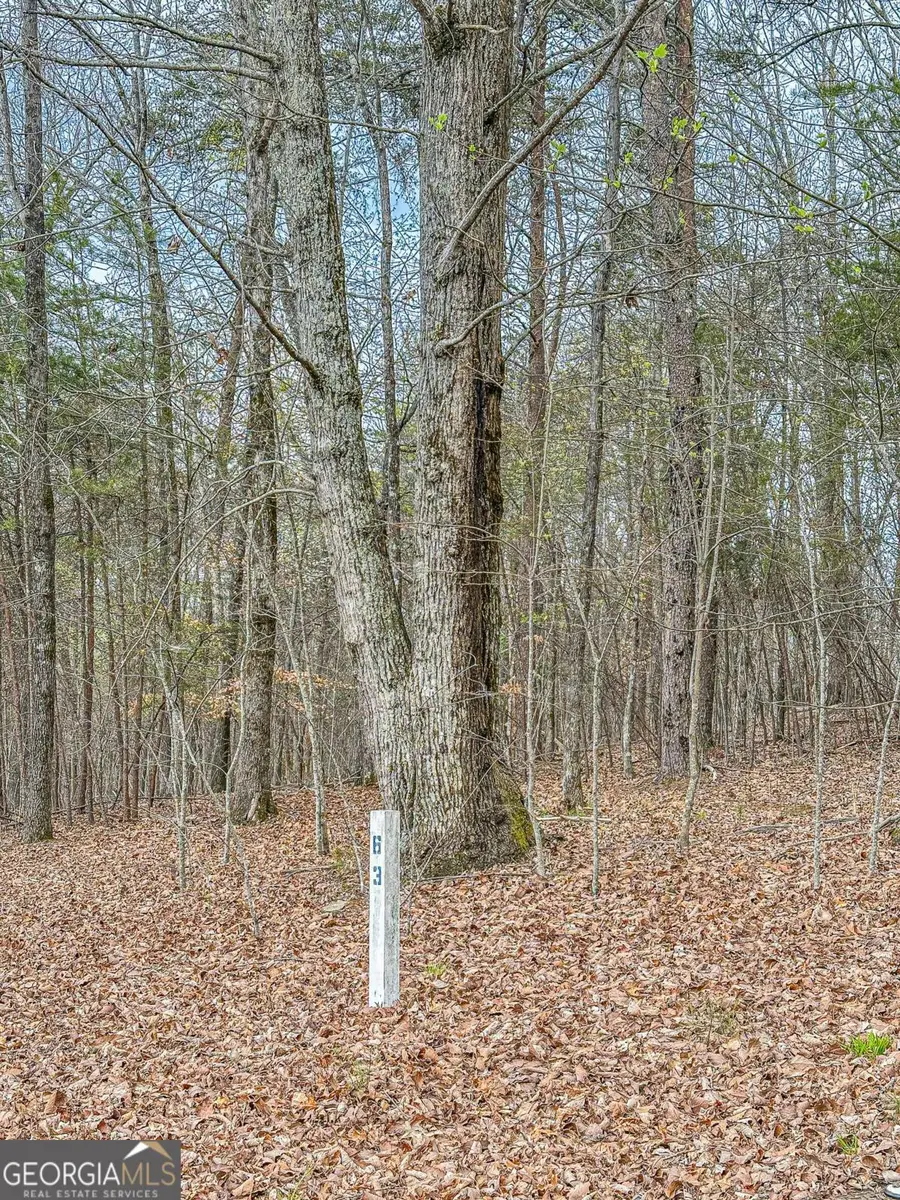 0 Green Meadows, Dahlonega, GA 30533 - #2