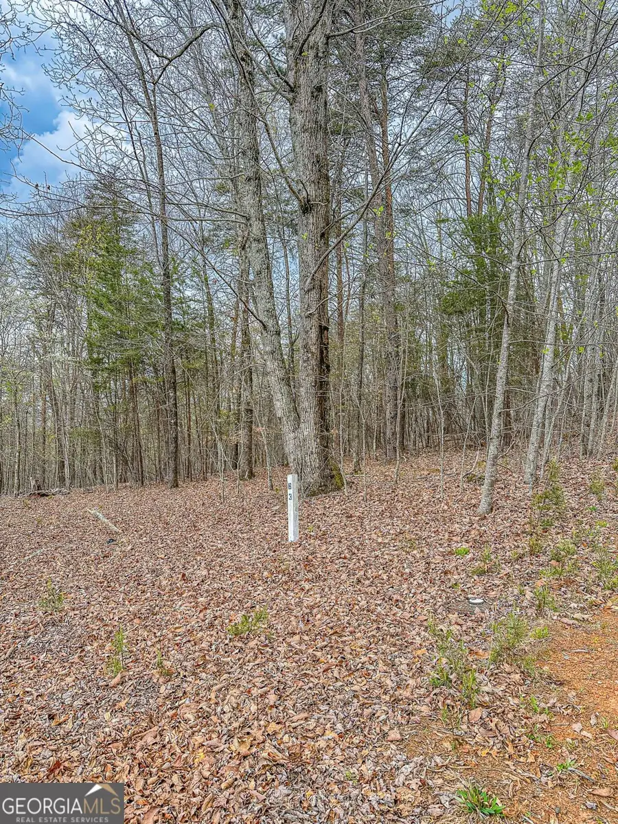 0 Green Meadows, Dahlonega, GA 30533 - #3