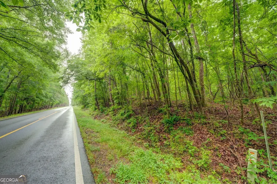 0 Post Road, Shady Dale, GA 31085 - #2