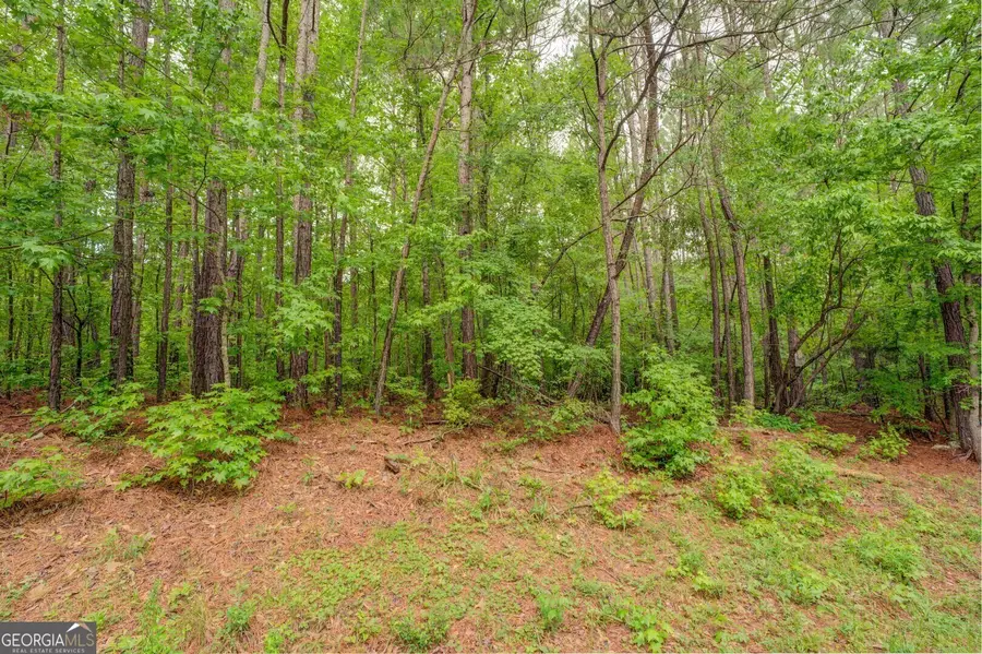 0 Post Road, Shady Dale, GA 31085 - #3