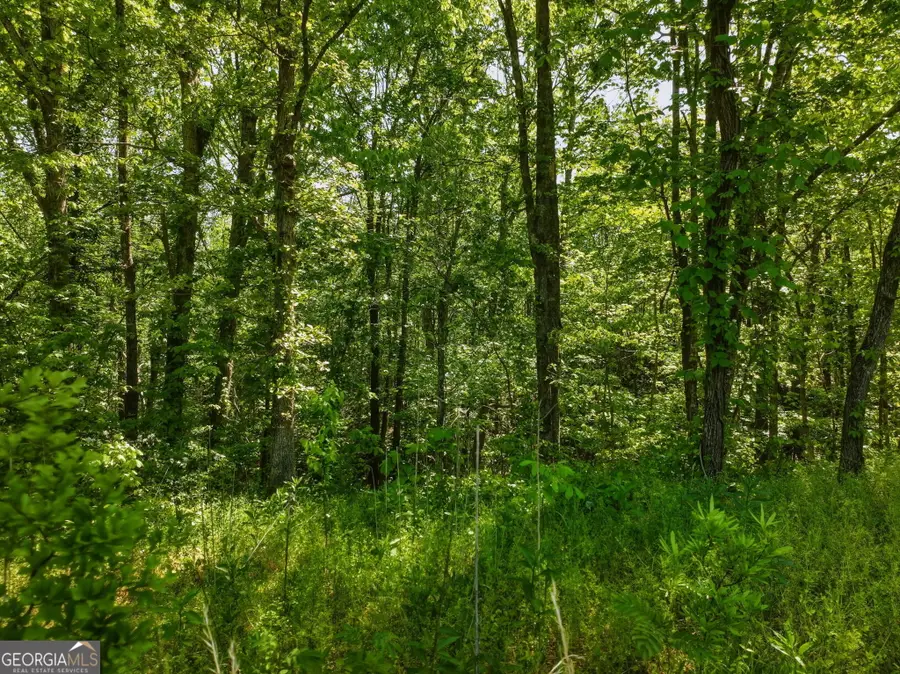 LOT 5 Summit Drive, Dahlonega, GA 30533 - #3