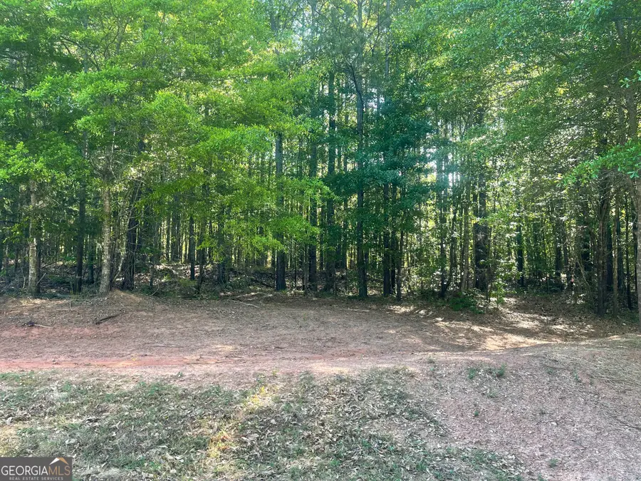 0 Fincher Road, Covington, GA 30016 - #3