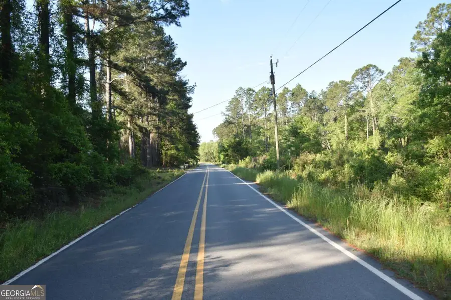 5 ACRES Levy A Ray Road Ne, Ludowici, GA 31316 - #2