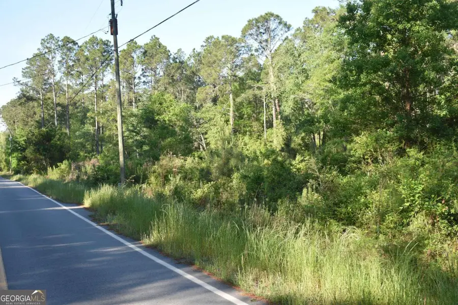 5 ACRES Levy A Ray Road Ne, Ludowici, GA 31316 - #3