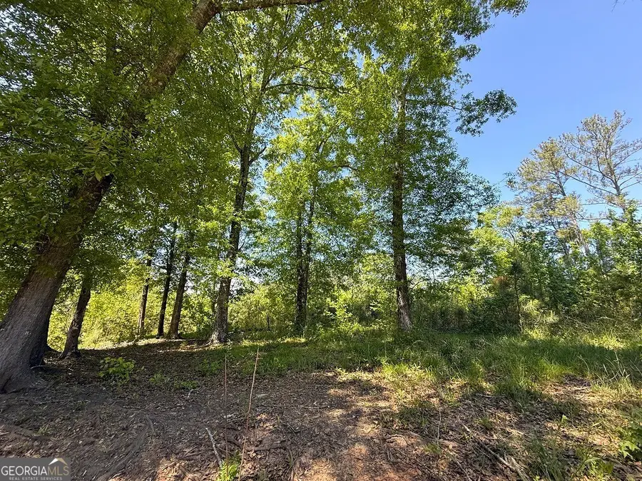 752 Old Mineral Springs Road, Elberton, GA 30635 - #2