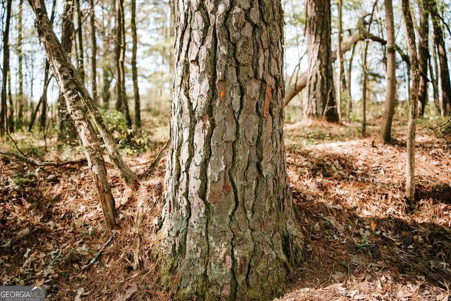 0 Union Point Road, Stephens, GA 30667 - #3