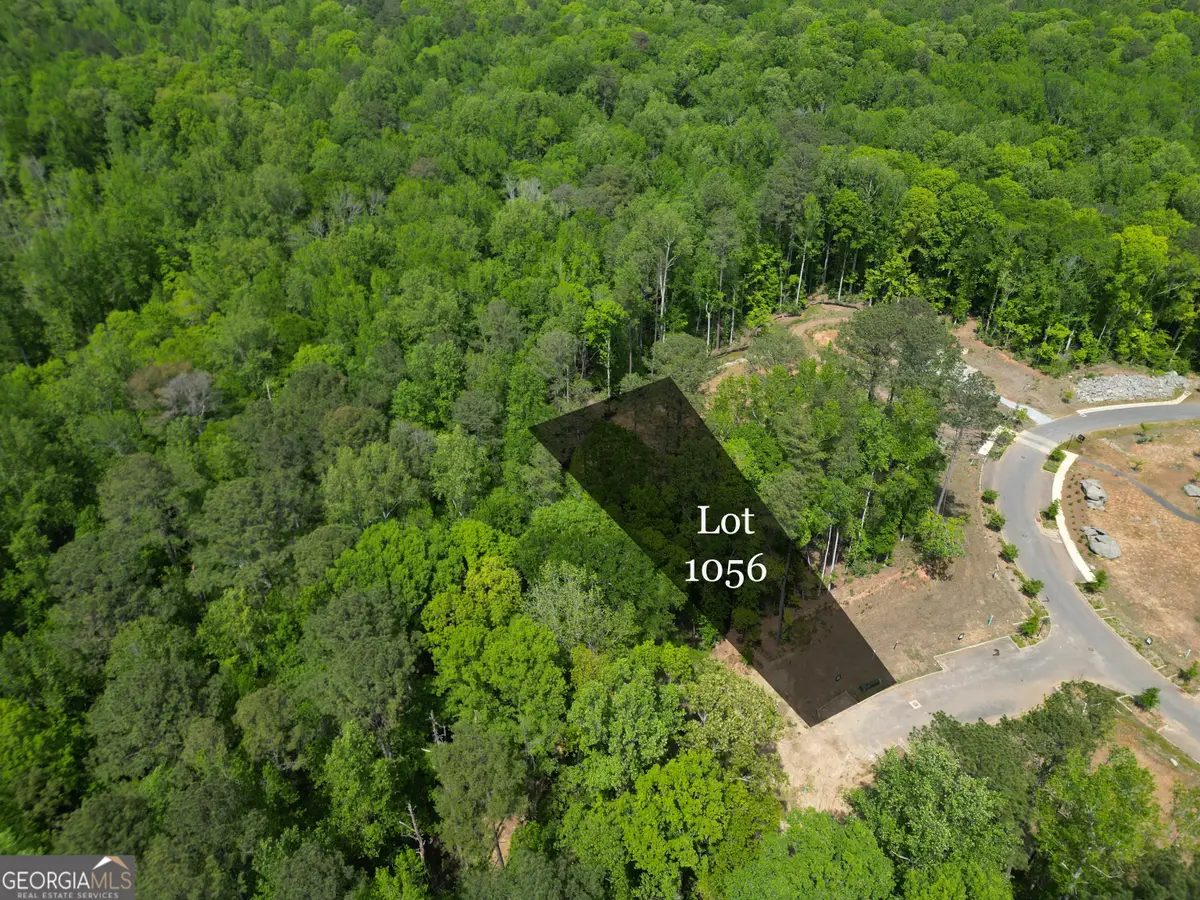 1011 Epple Lane, Chattahoochee Hills, GA 30268 - #1