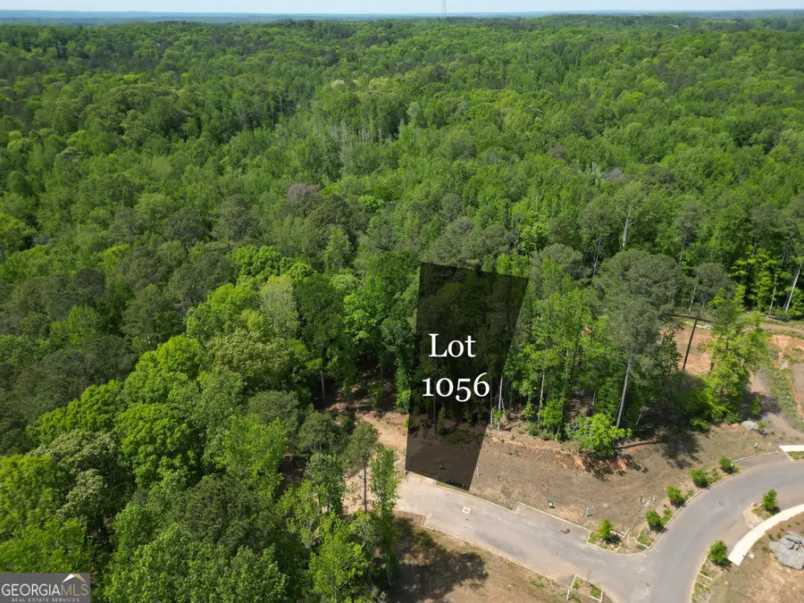 1011 Epple Lane, Chattahoochee Hills, GA 30268 - #2