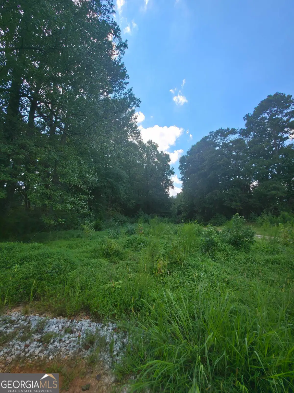 74 Charlotte Circle, Statham, GA 30666 - #1