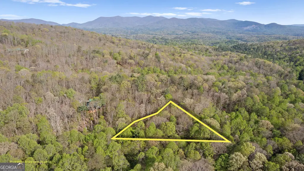 0 Poplar Hollow Road, Ellijay, GA 30540 - #1