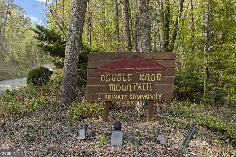 0 Poplar Hollow Road, Ellijay, GA 30540 - #2