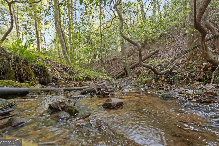 0 Poplar Hollow Road, Ellijay, GA 30540 - #3