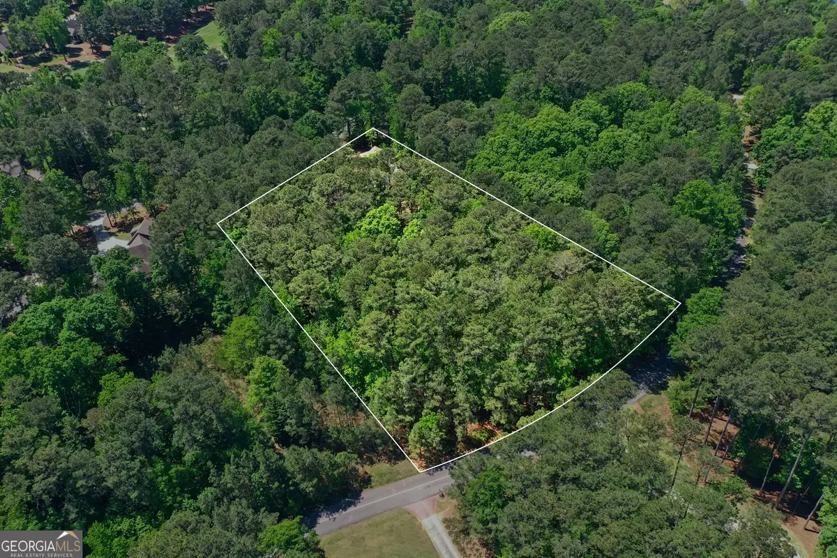 1470 Snug Harbor Drive, Greensboro, GA 30642 - #1