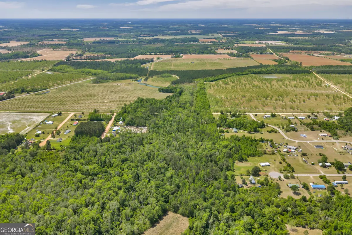 0 Twin Oaks Road, Ray City, GA 31645 - #1