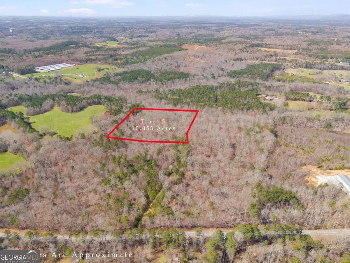 TRACT5 Georgia Highway 100, Buchanan, GA 30113 - #1