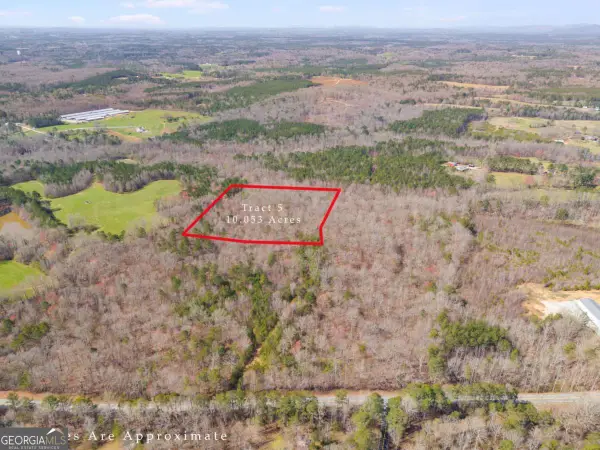 TRACT5 Georgia Highway 100, Buchanan, GA 30113