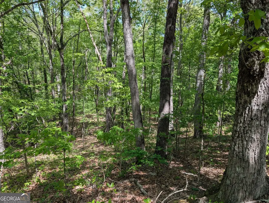 110 Honeysuckle Drive, Cumming, GA 30040 - #3