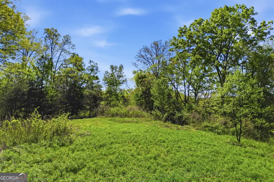 1933 Highway 136 W, Talking Rock, GA 30175 - #3