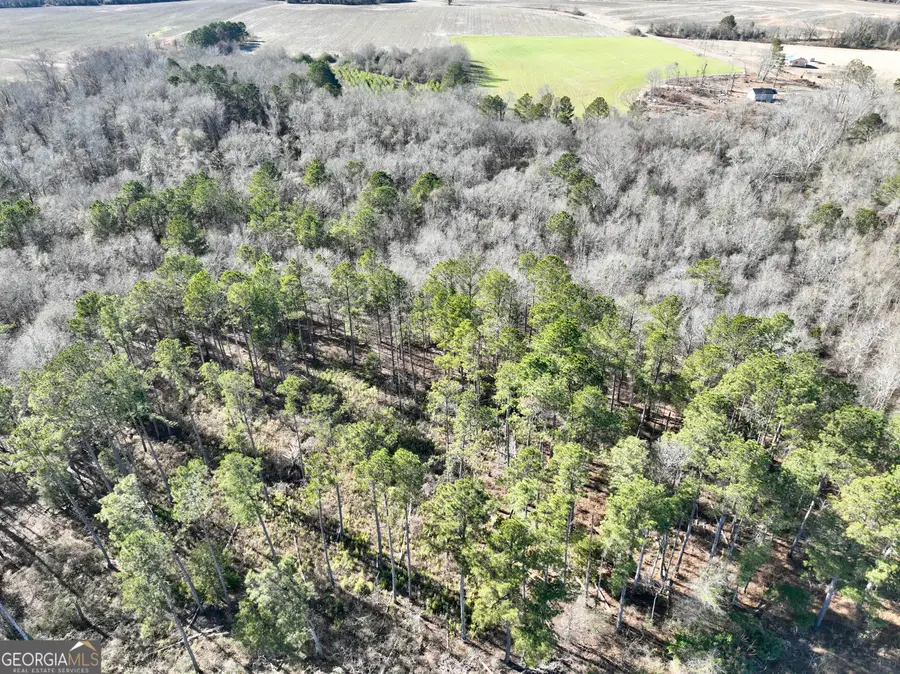 0 Jenkins Farm Road, Byromville, GA 31007 - #3