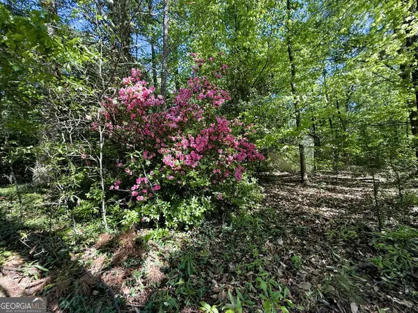 4655 Hwy 29, Royston, GA 30662