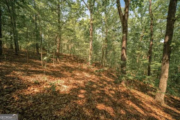 00 Hancock Mountain Trl, Waleska, GA 30183