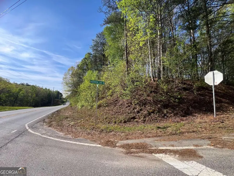 6425 Anderson Lake Road, Dawsonville, GA 30534 - #2