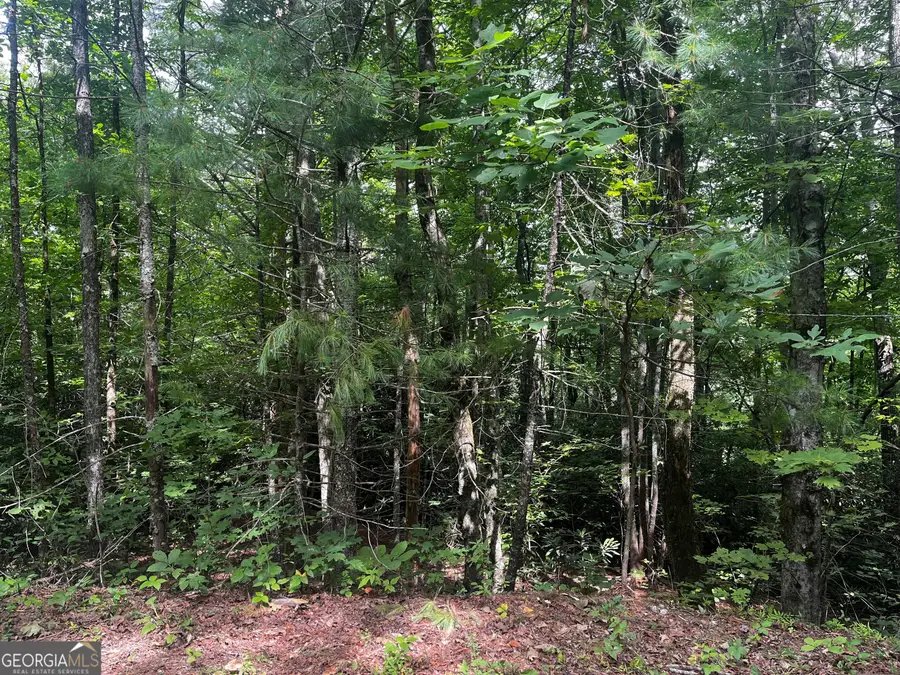 0 Pitts Way, Rabun Gap, GA 30568 - #3