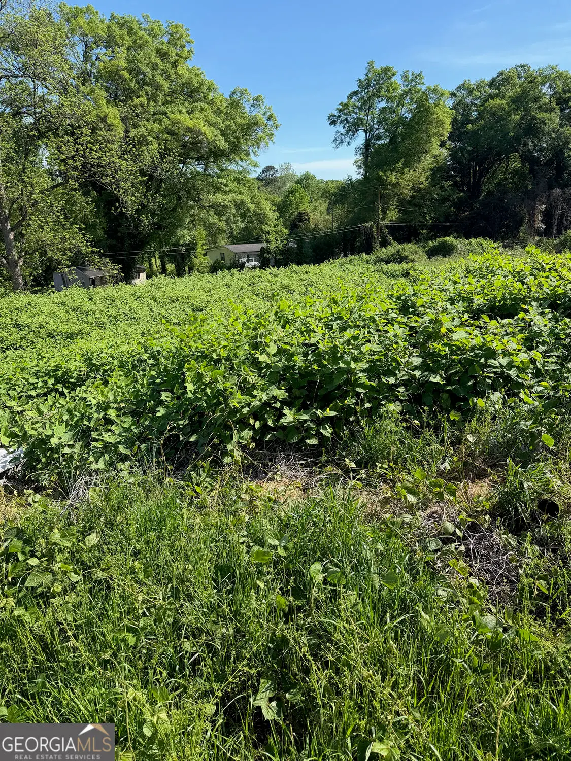 121 Mcconnell Drive, Gainesville, GA 30501 - #1