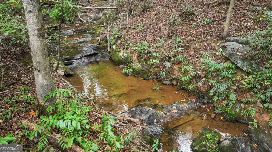 320 Hickory Ridge Drive, Cleveland, GA 30528 - #3