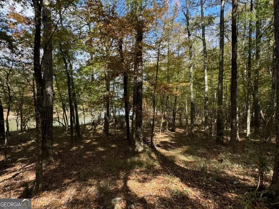 9.09 ACRE Flint River Road, Molena, GA 30258 - #2