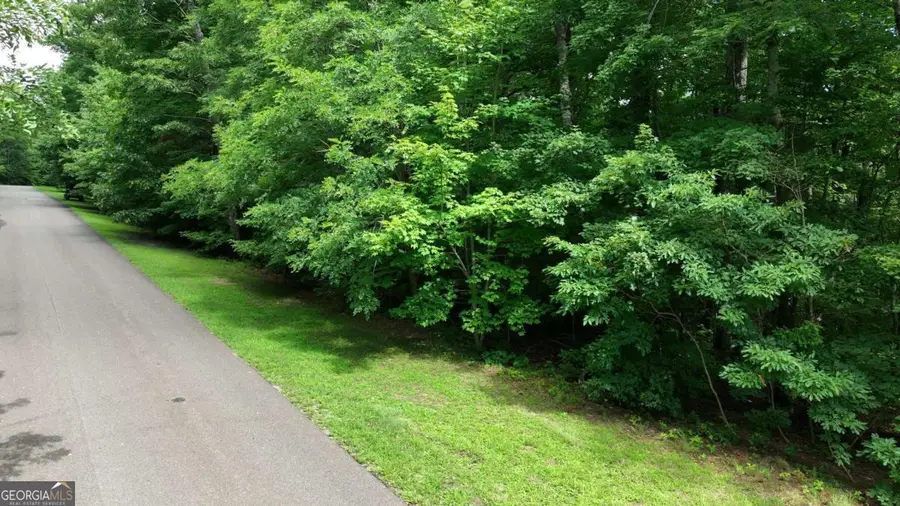 206 Northview Parkway, Ellijay, GA 30536 - #3