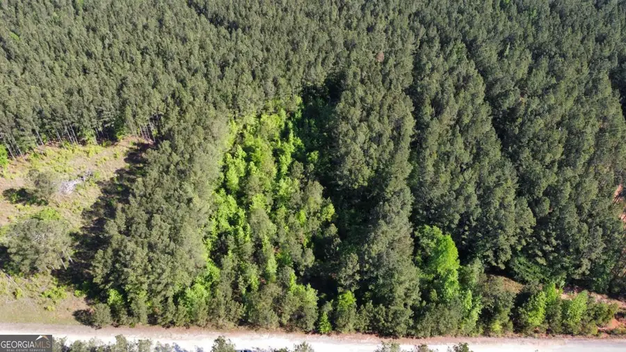 104 Lisa Woods Lane, Eatonton, GA 31024 - #3