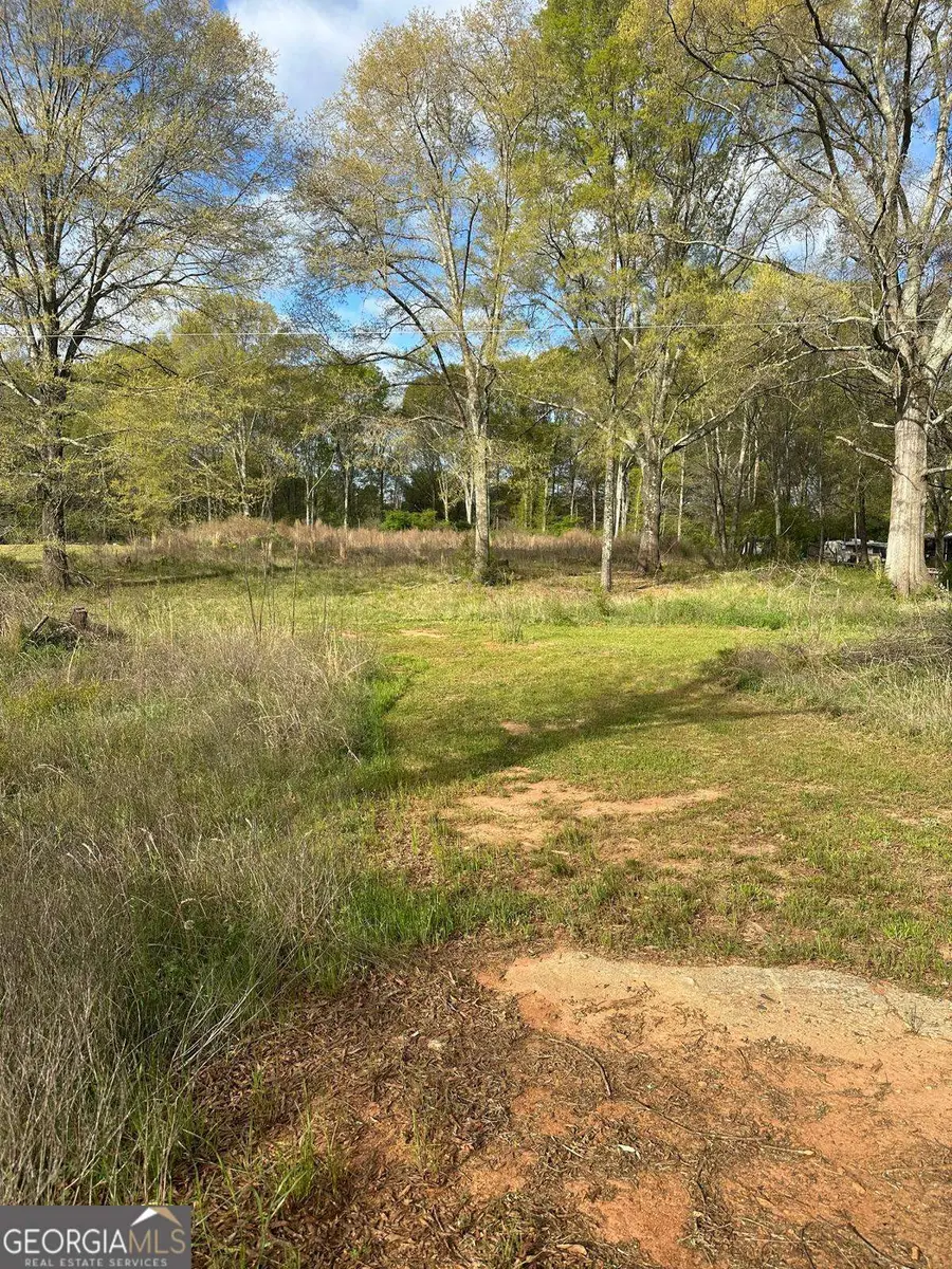 1001 Laboon Road, Monroe, GA 30655 - #3