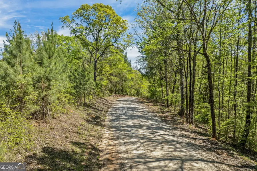 0 Liberty Hill Glenn Road, Lagrange, GA 30240 - #2