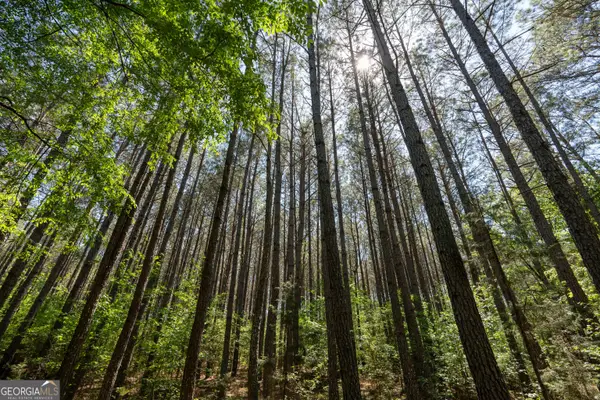 2486 Hulmes Chapel Road, Elberton, GA 30635