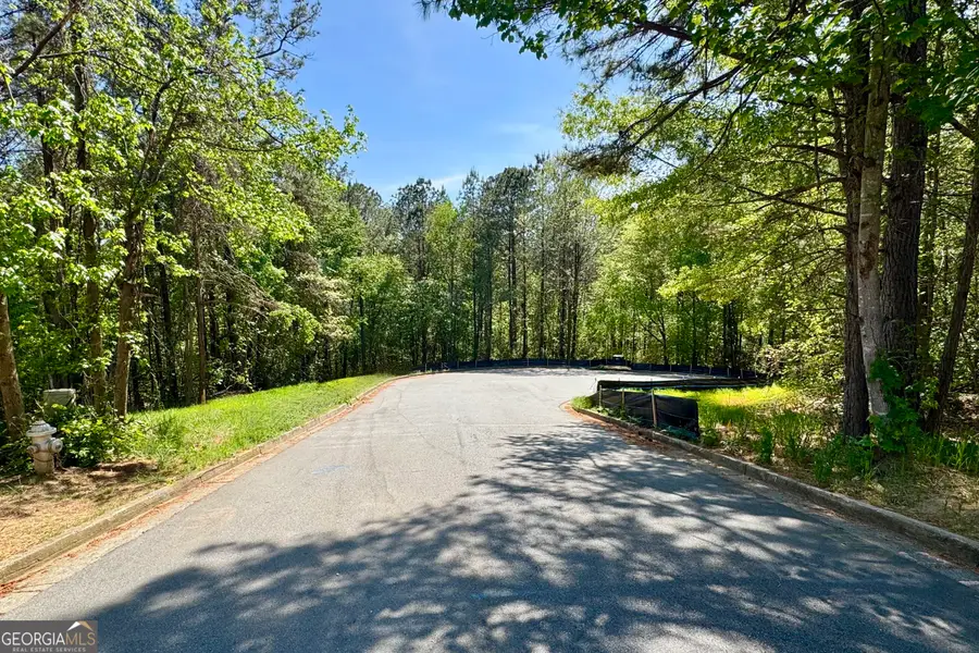 144 Constitution Point, Dallas, GA 30132 - #2